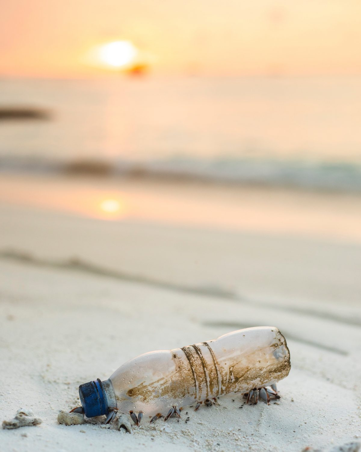 WTTC And UNEP Release New Report On Single-use Plastic Products To ...