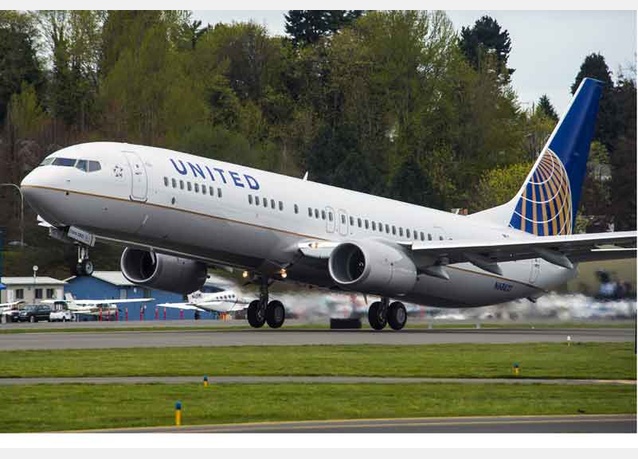 how many dogs have died on united airlines